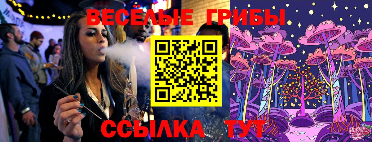 Псилоцибиновые грибы Cubensis Красногорск