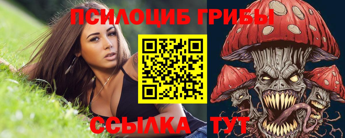 Галлюциногенные грибы Cubensis  Вход с VPN  Красногорск 